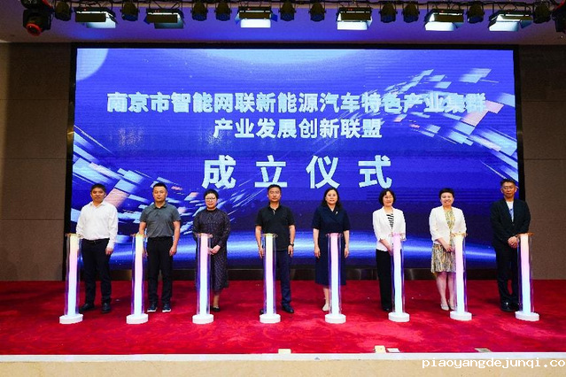 产业发展创新联盟成立仪式